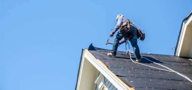 Best Storm Damage Roof Repair  in Cleburne, TX
